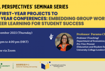 (Zoom Background) From First-Year Projects to Final-Year Conferences Embedding Group Work and Peer Learning for Student Success